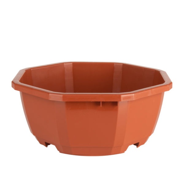 Coupe 16 cm