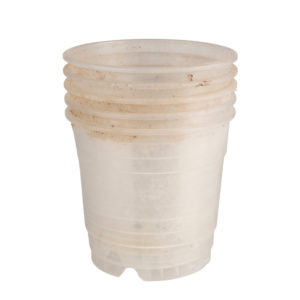 Pot transparent 12 cm seconde main