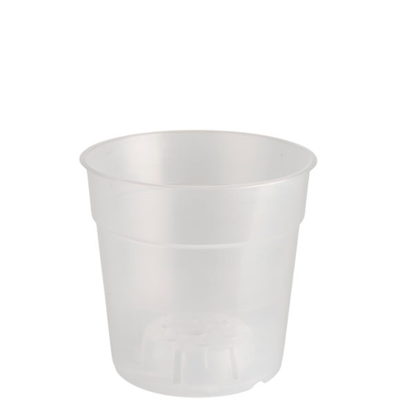 pot transparent 12 cm