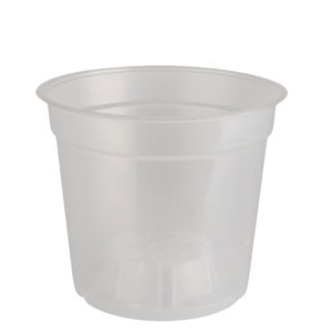 pot transparent 15cm orchidées
