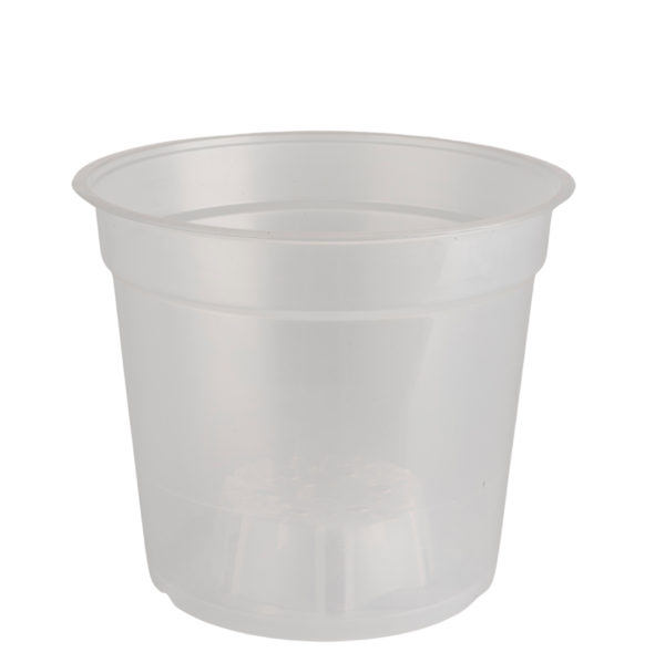pot transparent 15cm orchidées