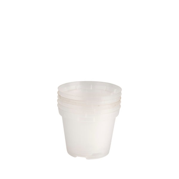 Pot transparent 8 cm – Image 2